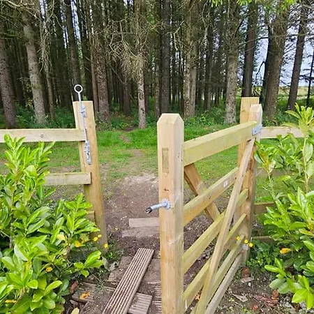 Foxgloves And Ivy Lodge Cockermouth