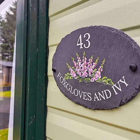 Foxgloves And Ivy Domek letniskowy Cockermouth